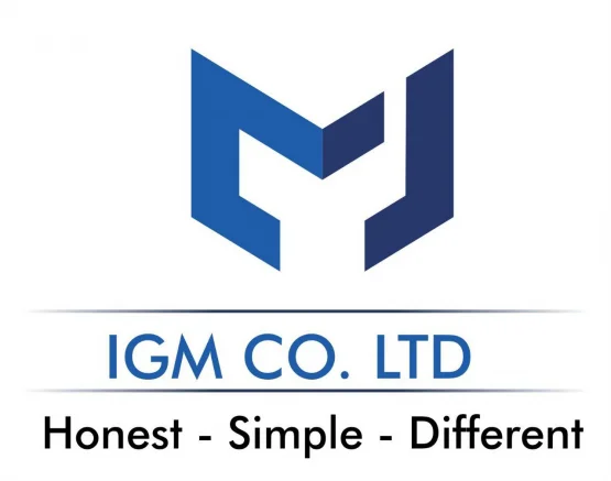 Giới thiệu về IGM